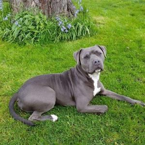 Meet your Posher, Rachael n robert